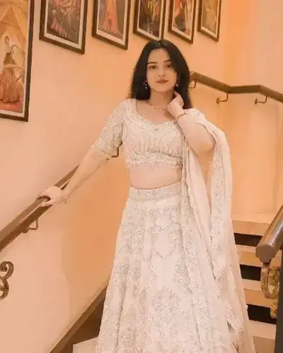 Escort Service In Zirakpur